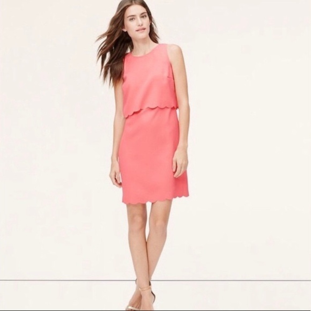 Loft Coral Scallop Dress